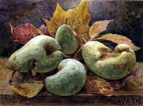 Tek ve Çift (Armut) by W.S. Goodwin