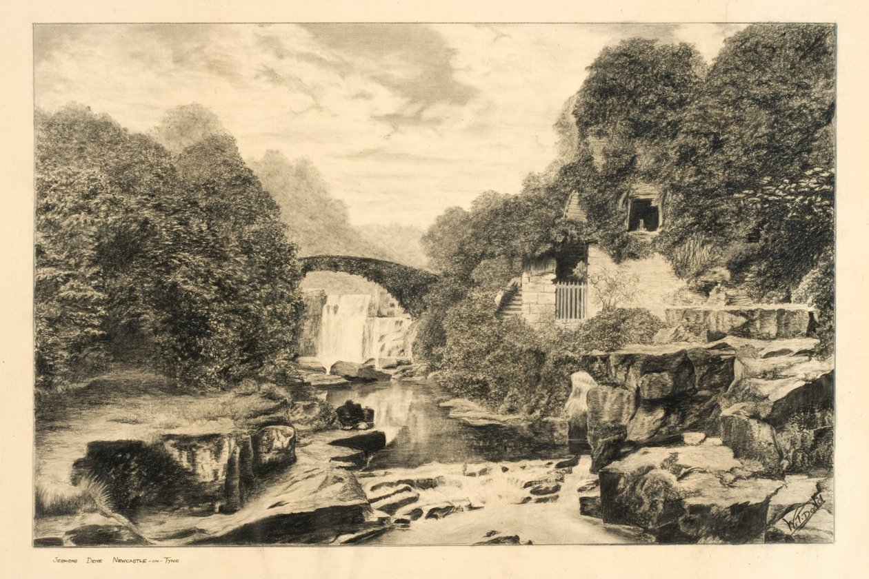 Jesmond Dene (kağıt üzerine tebeşir ve kurşun kalem) by W.T. Dodd