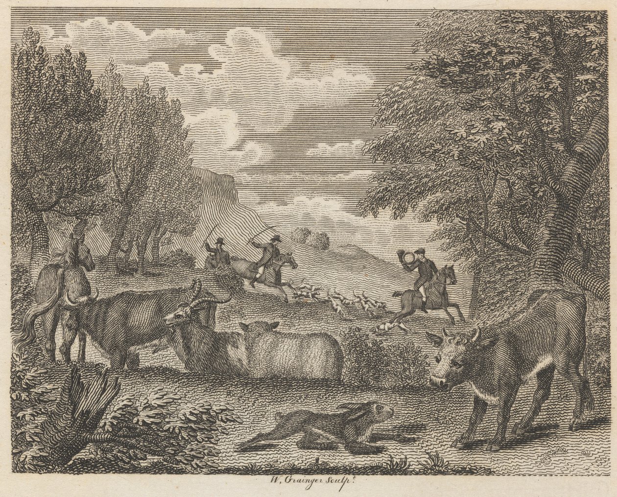 Tavşan ve Birçok Arkadaş by W. Grainger