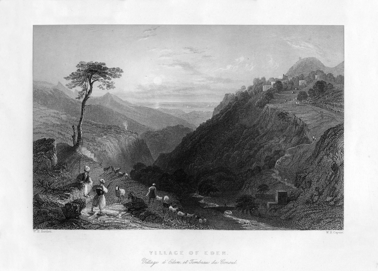 Aden Köyü, 1841. by W. H. Capone