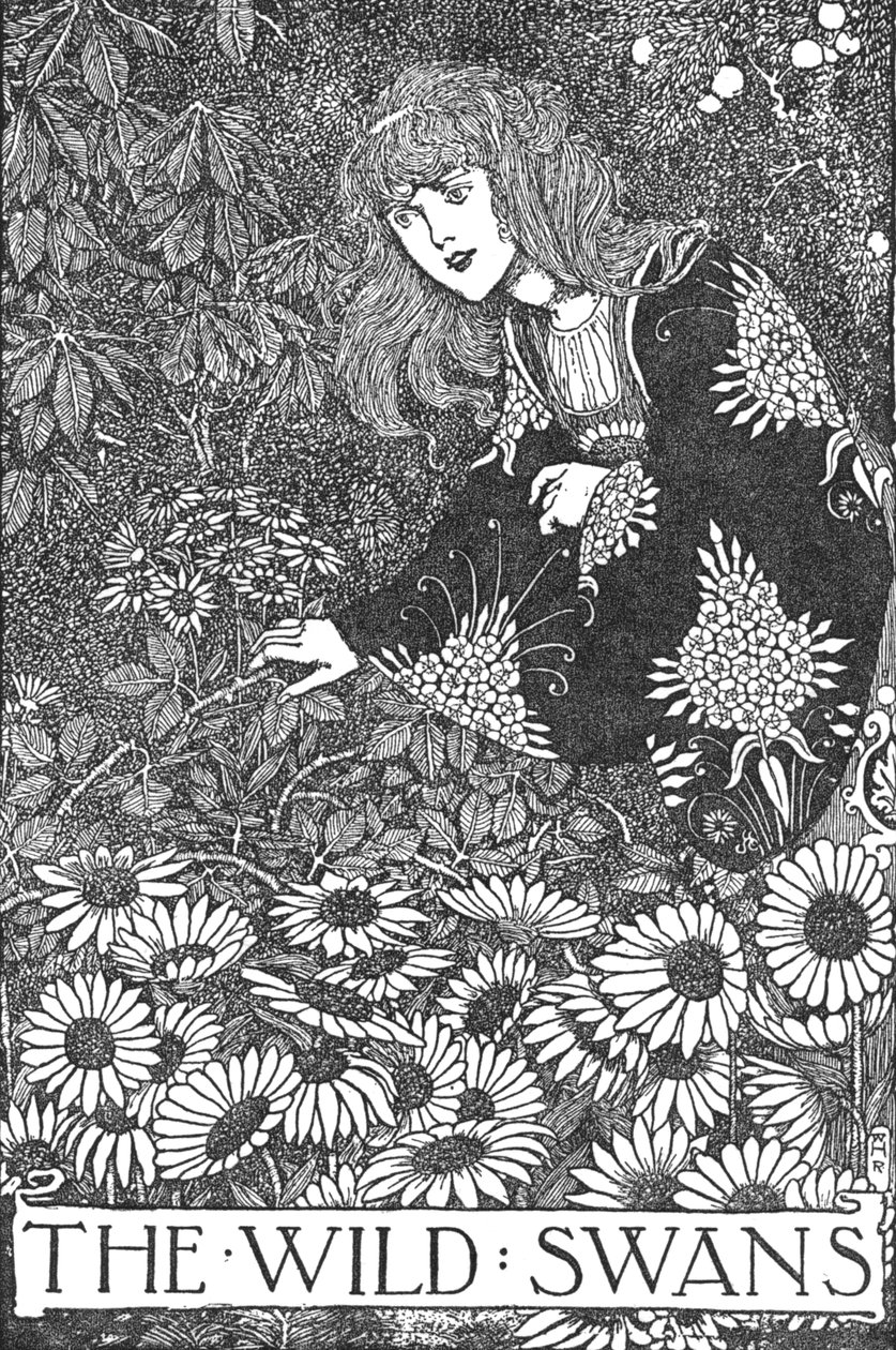 Vahşi Kuğular, c1930 by William Heath Robinson