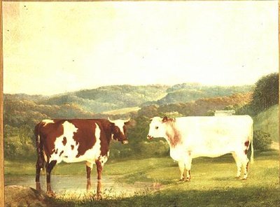 Manzaraya Karşı Sığır by W. J. Chapman
