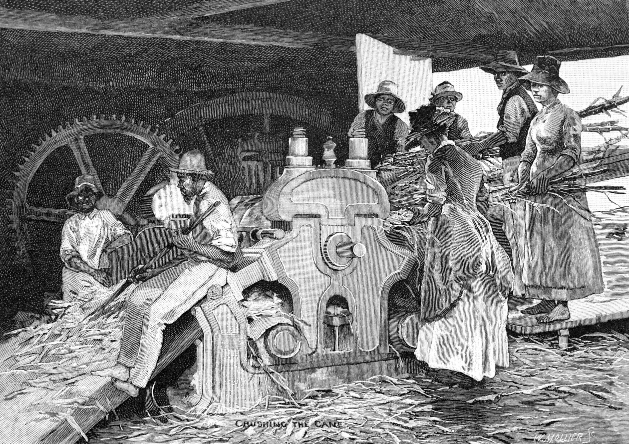 Bastonu Ezmek, 1886. by W. Mollier