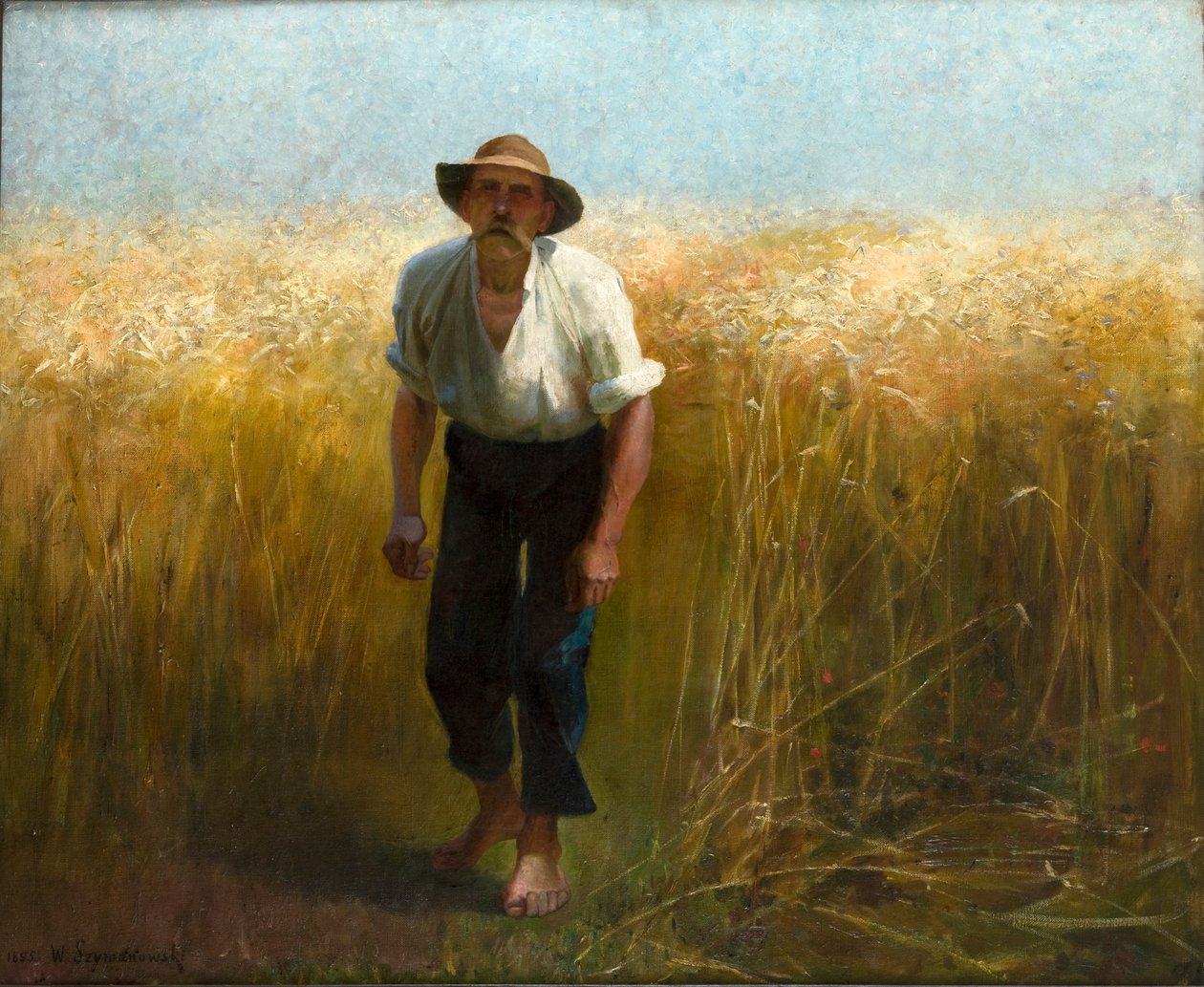 Biçerdöver by Waclaw Szymanowski
