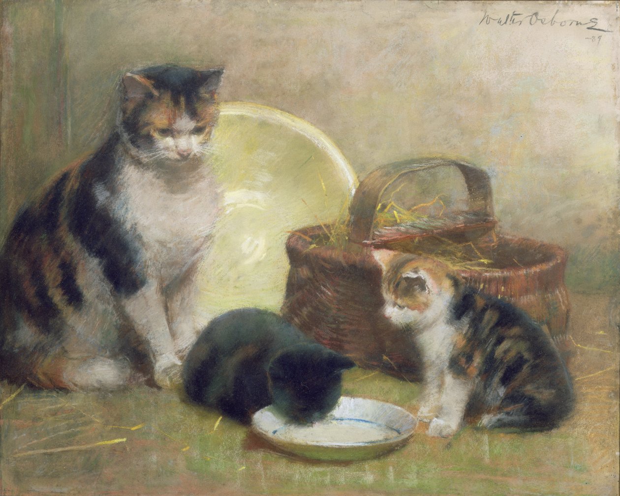 Kedi ve Yavru Kedi, 1889 (pastel) by Walter Frederick Osborne