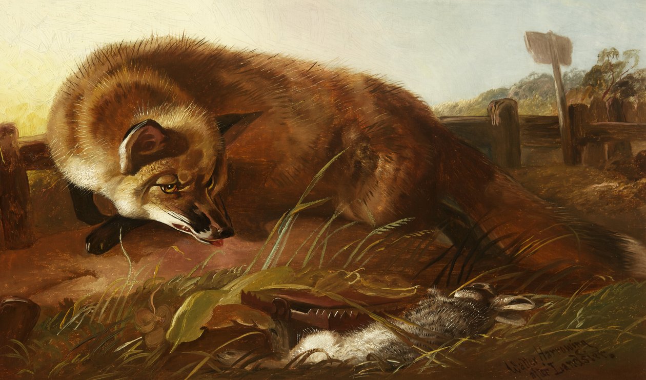 Tilki, yaklaşık 1880 by Walter Harrowing