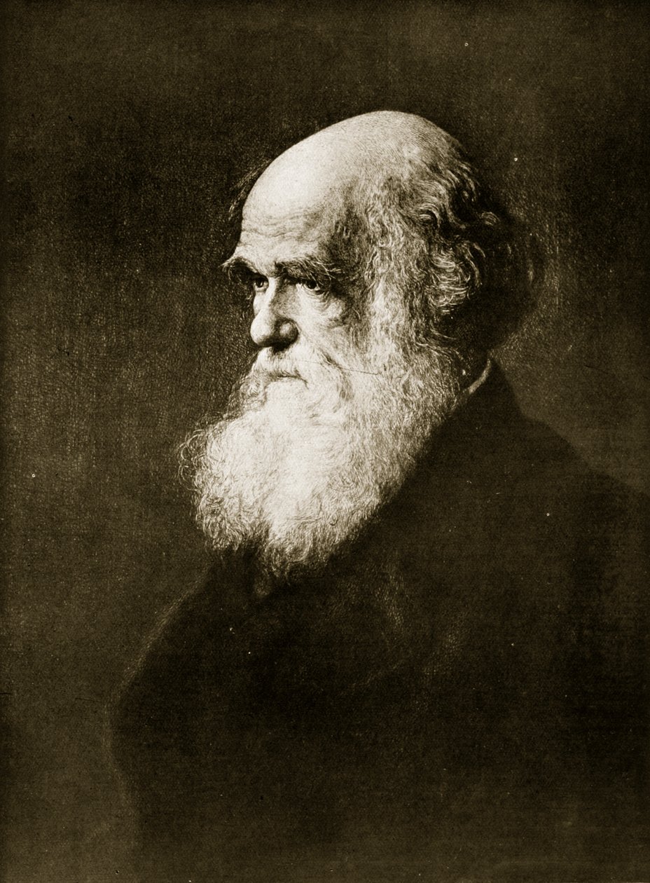 Charles Darwin, W.W. Ouless, 