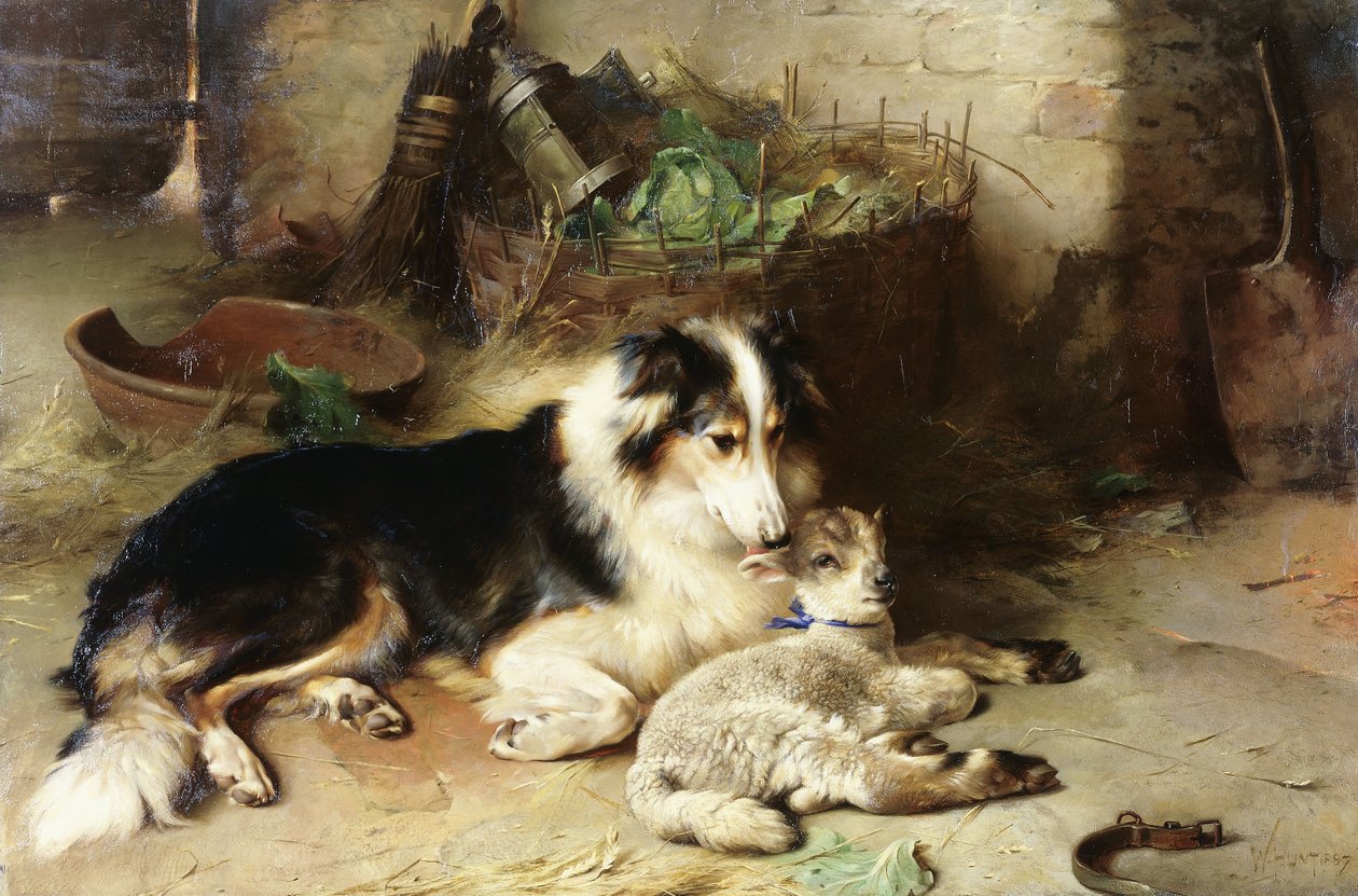 annesiz: çobanın evcil hayvanı by Walter Hunt