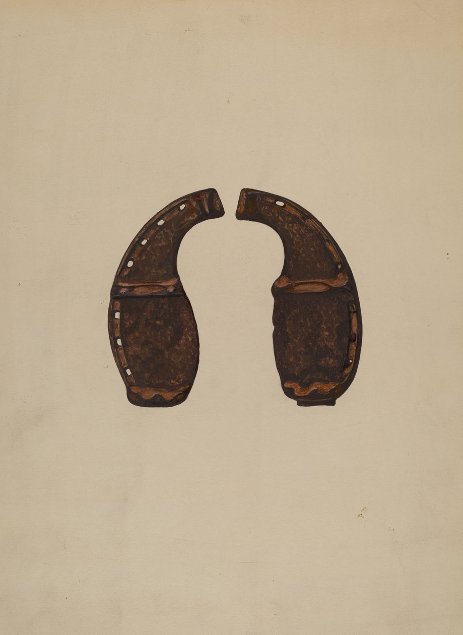 Öküz Ayakkabı, c. 1936. by Walter Praefke
