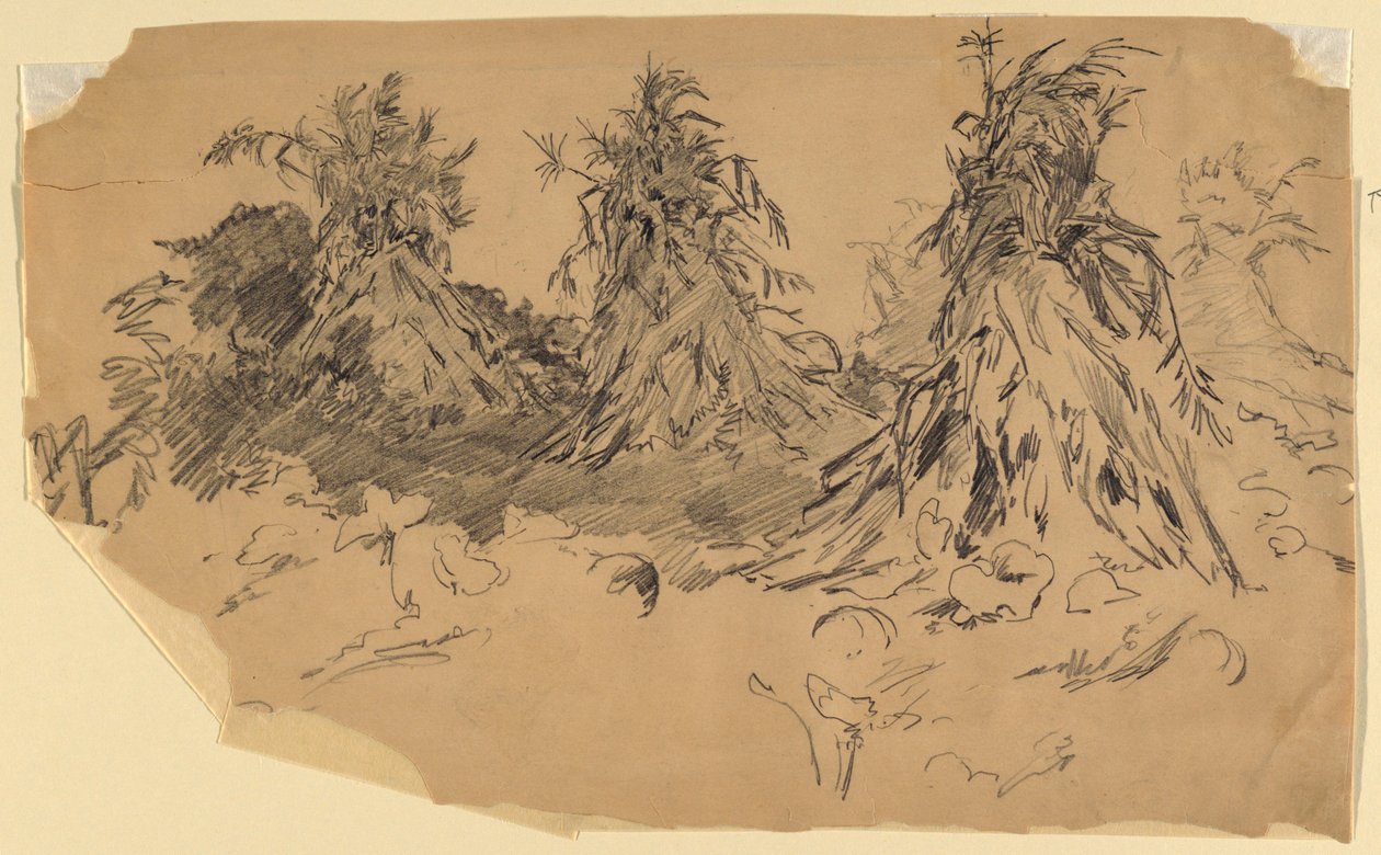 Mısır sapları by Walter Shirlaw
