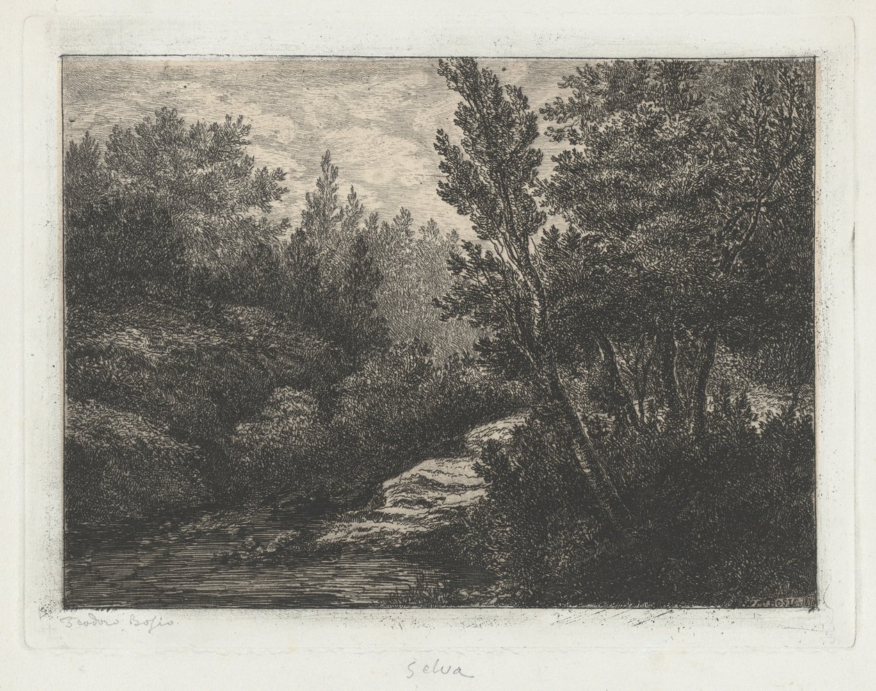 Selva (Orman) by Walter Teodoro Bosio