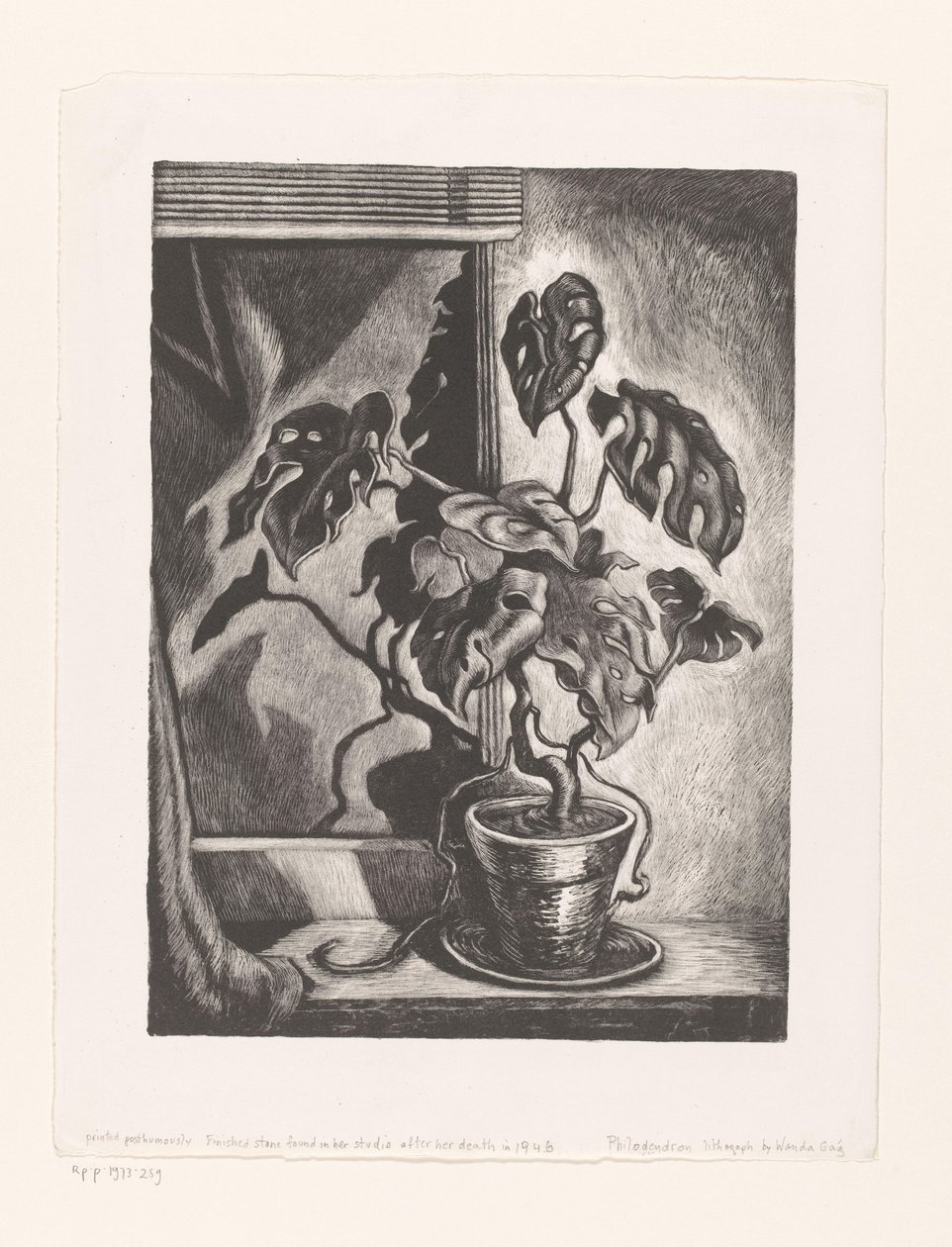 Pencere çerçevesindeki Philodendron by Wanda Gág