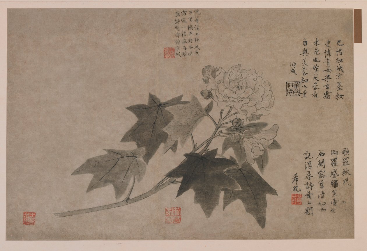 Hibiskus, 1347. by Wang Yuan