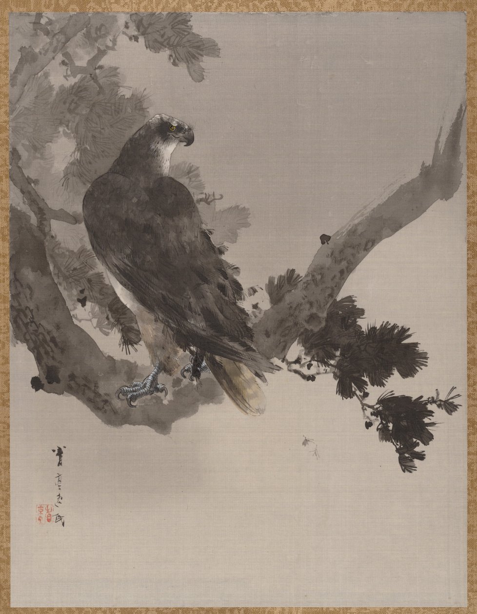 Ağaçtaki Kartal, ca. 1887. by Watanabe Seitei