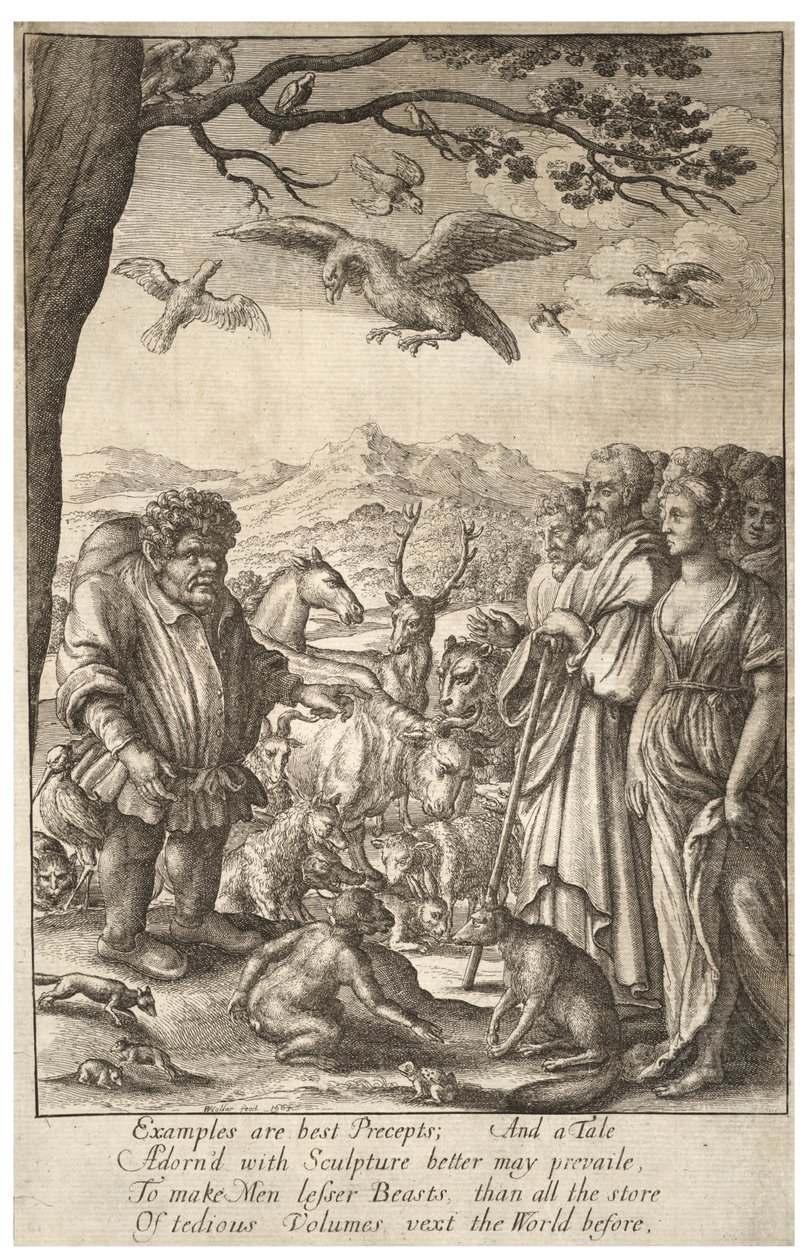 Ezop by Wenceslaus Hollar
