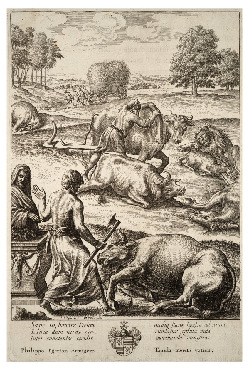 Sığır vebası. durum 2 by Wenceslaus Hollar