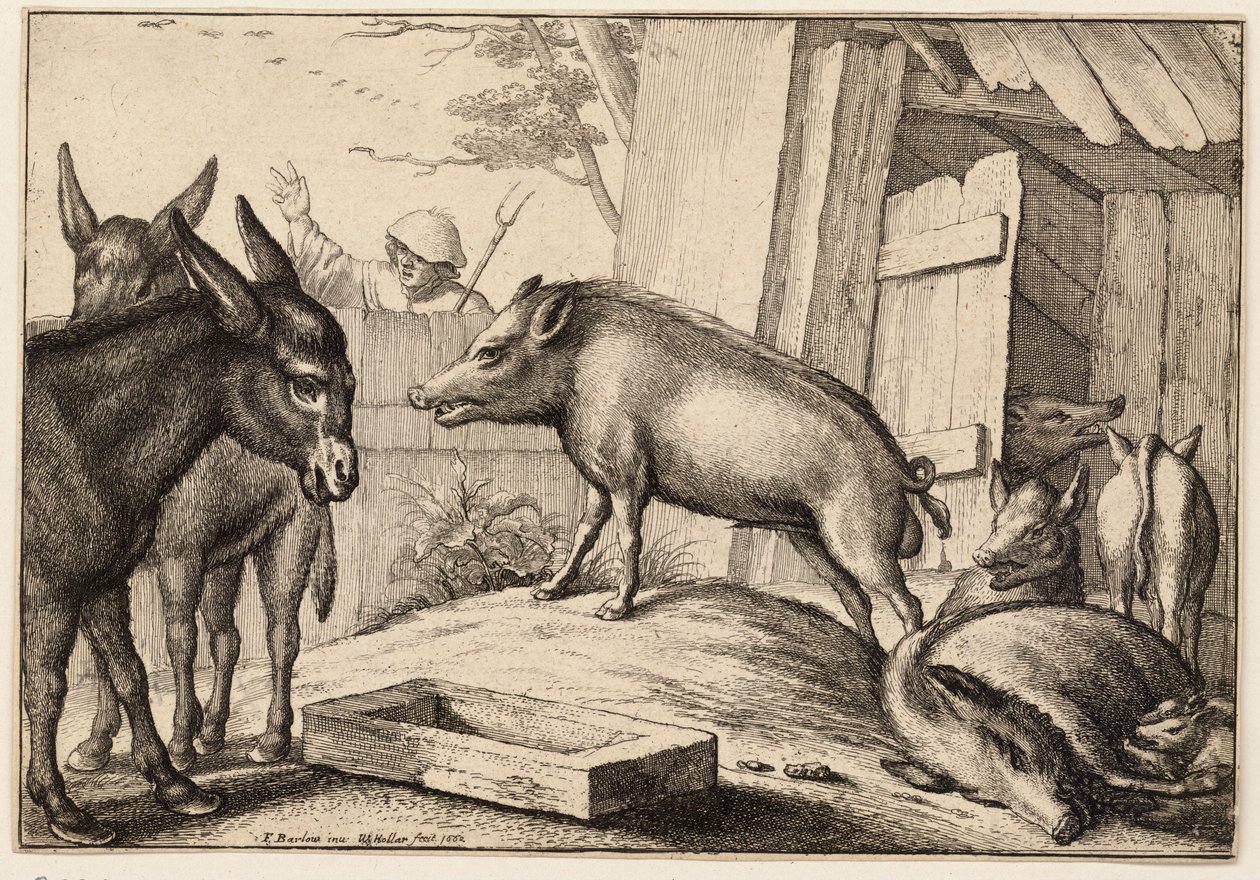 Domuzlar ve eşekler by Wenceslaus Hollar
