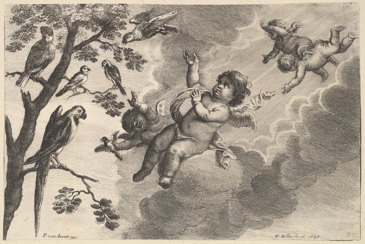 Hava Dört Element, ca. 1647. by Wenceslaus Hollar