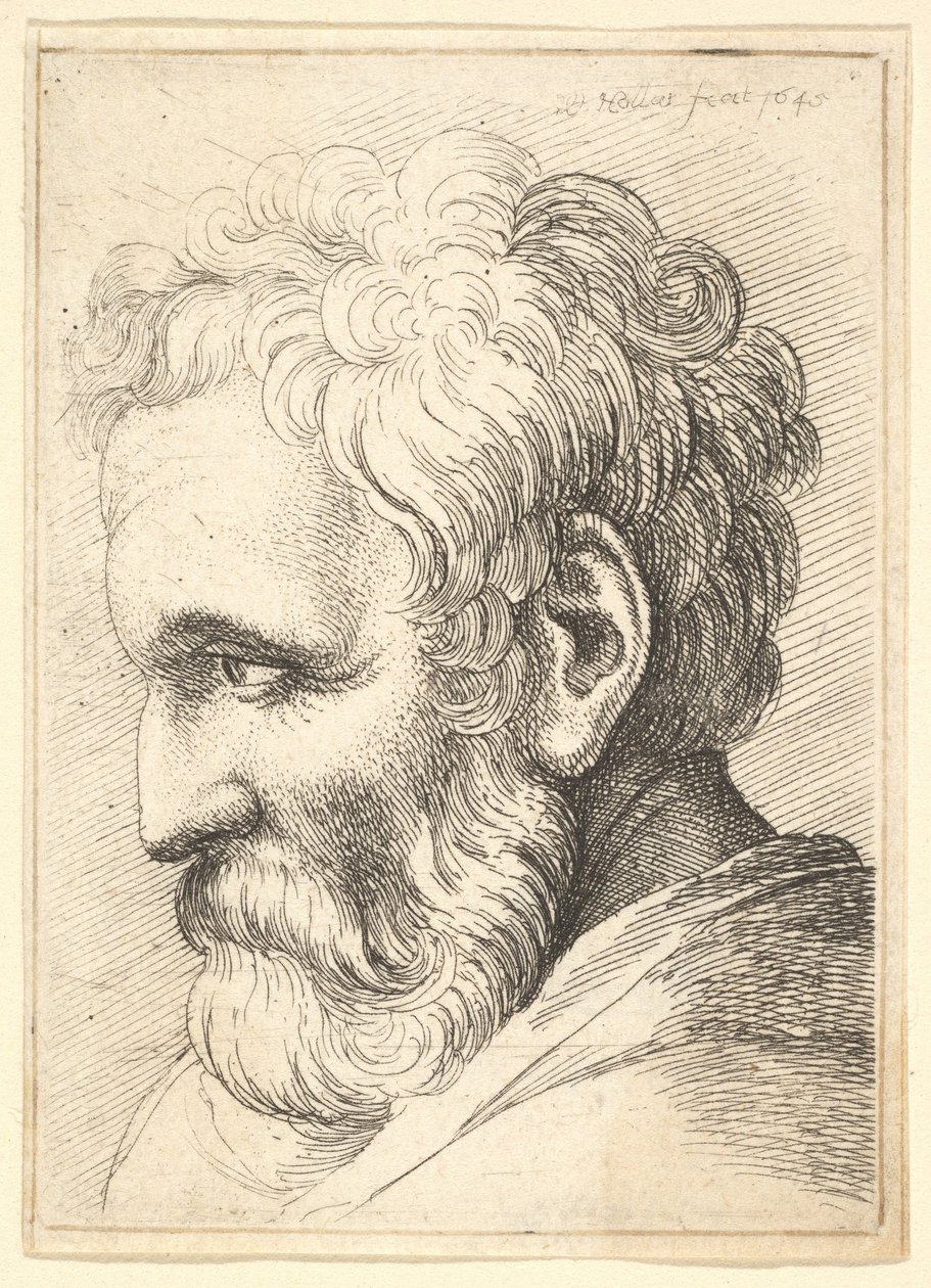 Sakallı yaşlı adam, 1645. by Wenceslaus Hollar