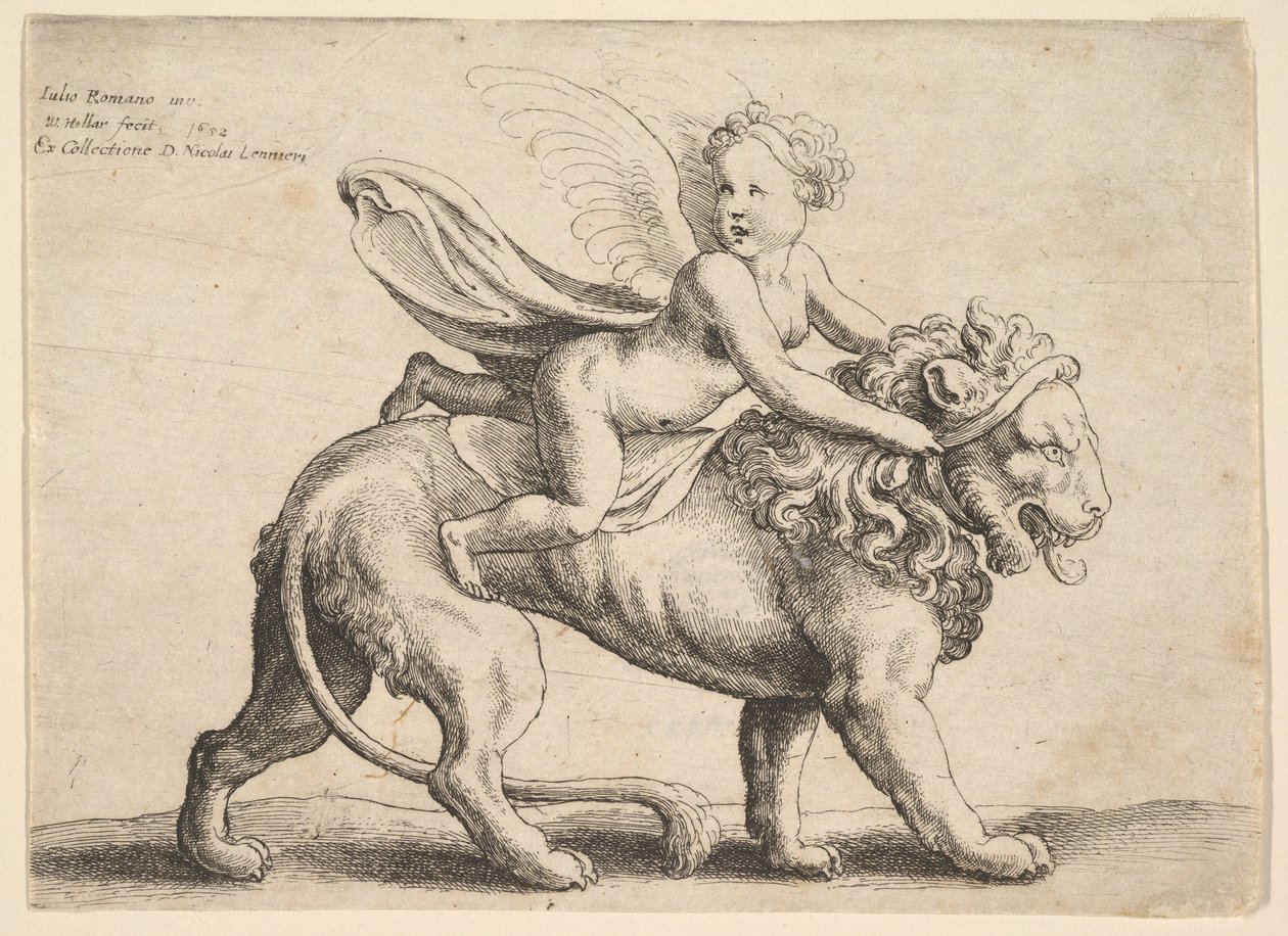 Aslan üzerindeki aşk tanrısı, 1652. by Wenceslaus Hollar