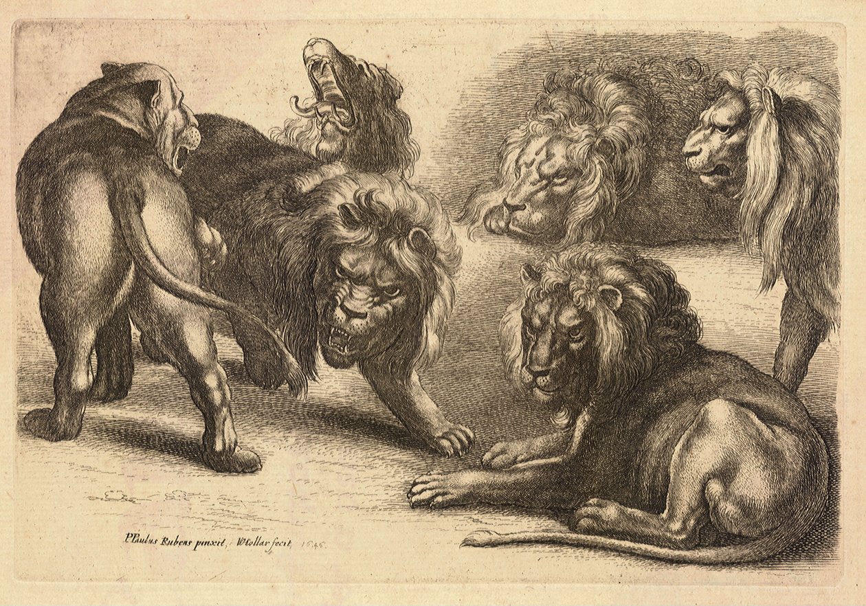 Rubens