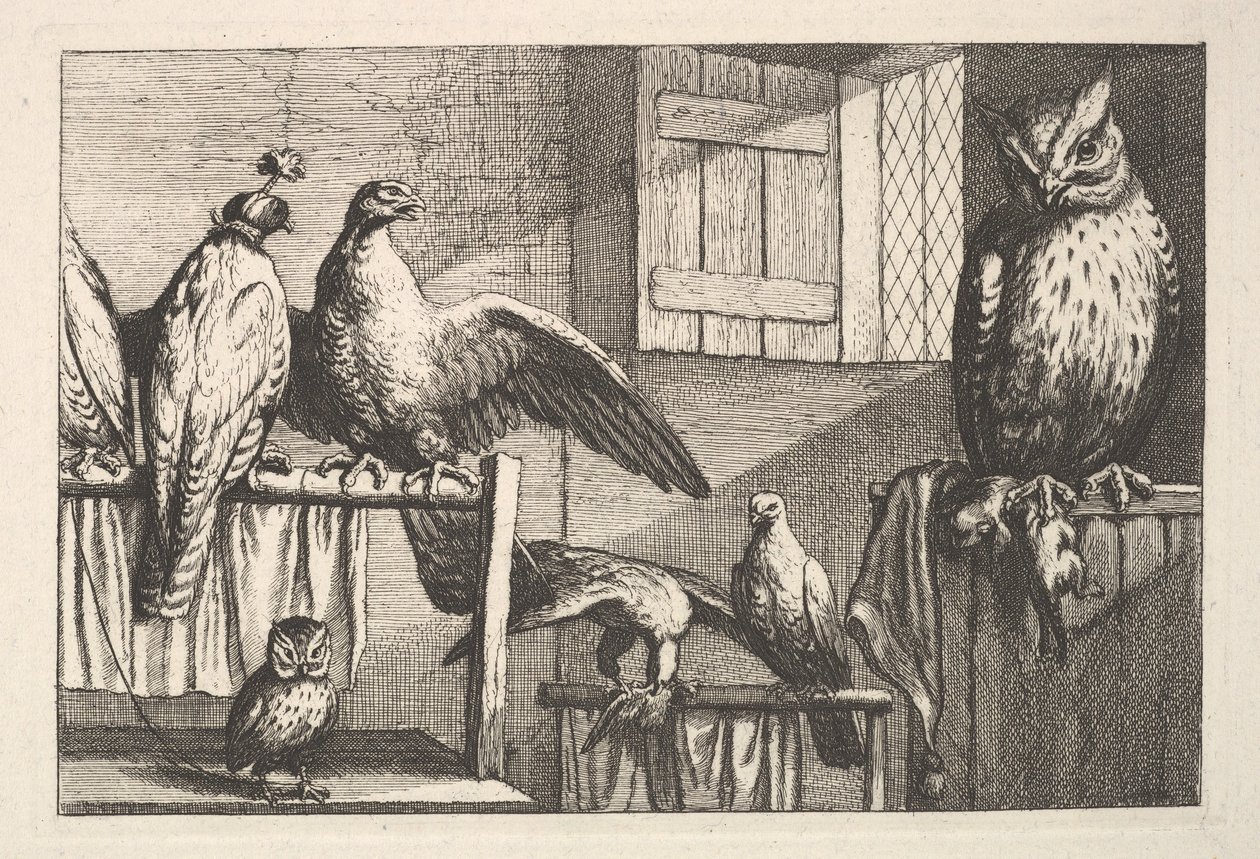 Şahinler ve baykuşlar, 1625-77. by Wenceslaus Hollar
