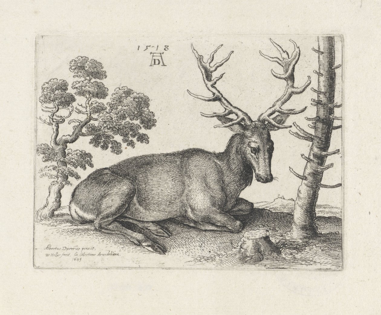 Sağa yaslanmış geyik by Wenceslaus Hollar