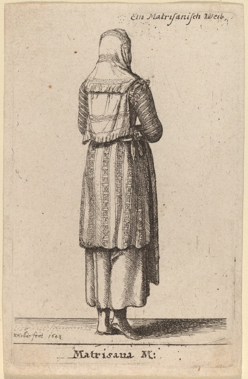 matrisler by Wenceslaus Hollar