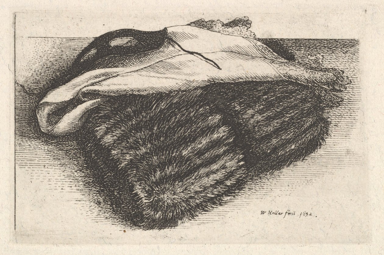 Muff, beyaz fular ve maske, 1642. by Wenceslaus Hollar