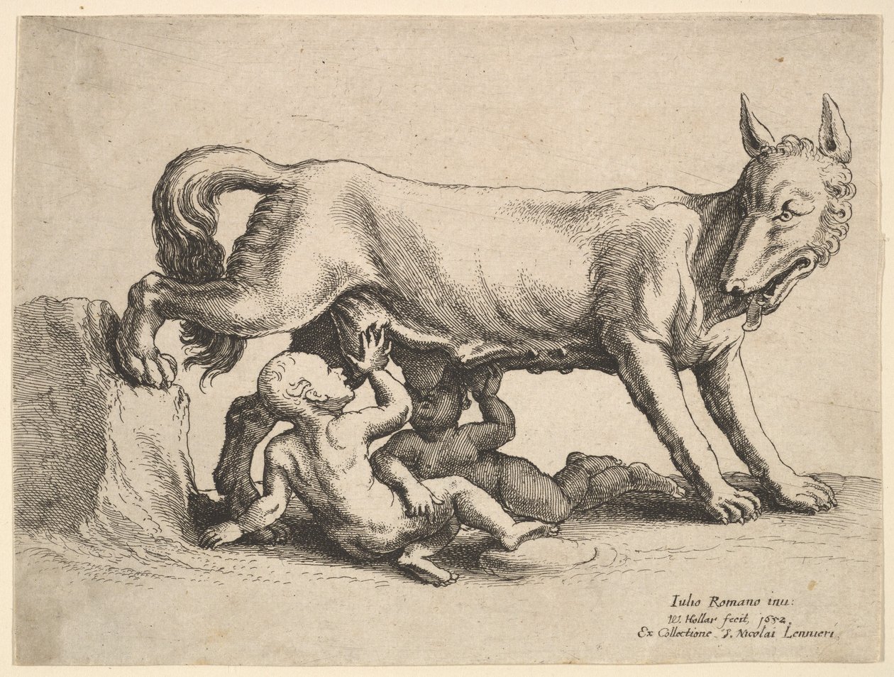 Romulus ve Remus, 1652. by Wenceslaus Hollar