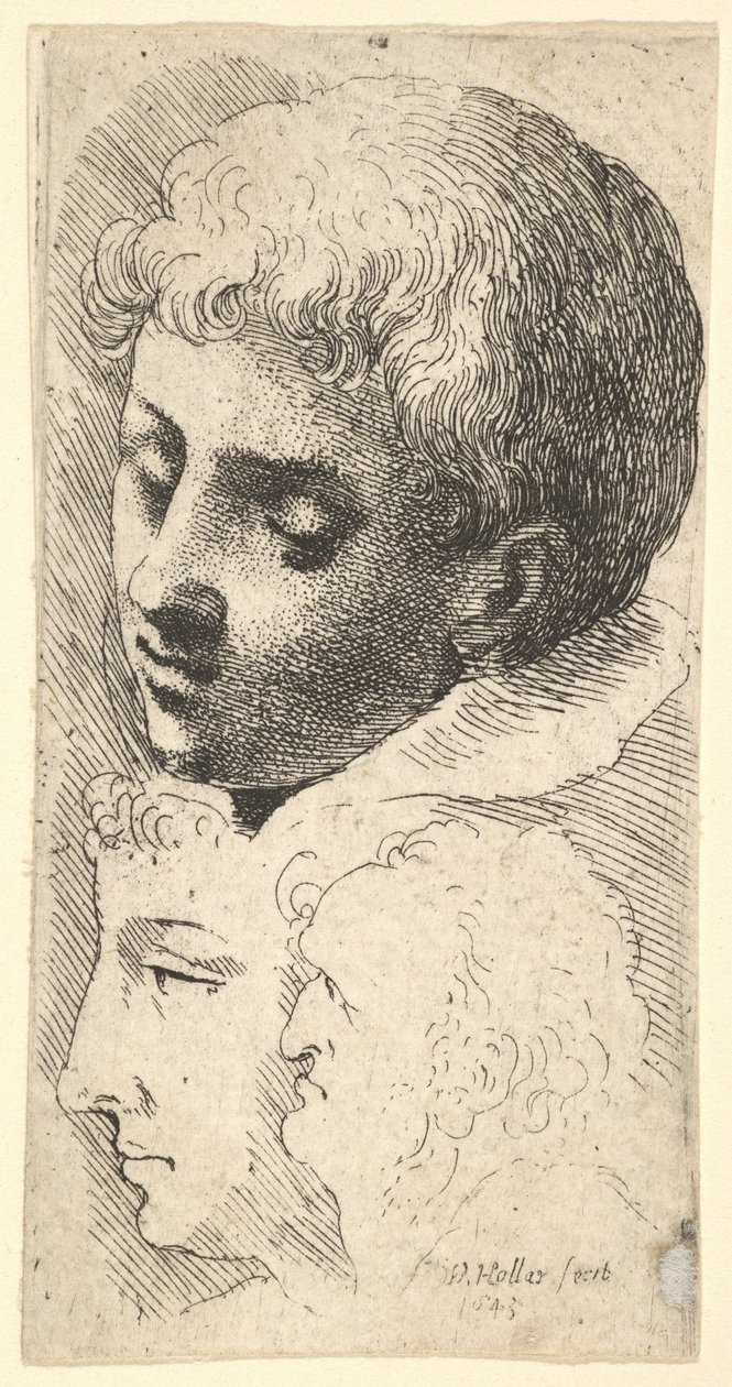 Üç kafa, 1645. by Wenceslaus Hollar