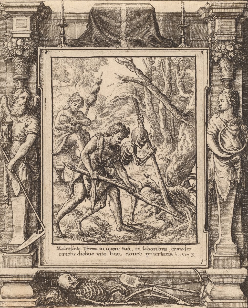 Adam Delved, 1651. by Wenceslaus Hollar