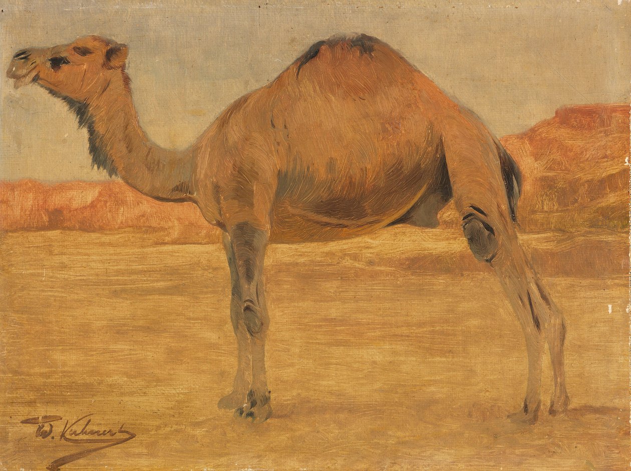tek hörgüçlü by Wilhelm Kuhnert