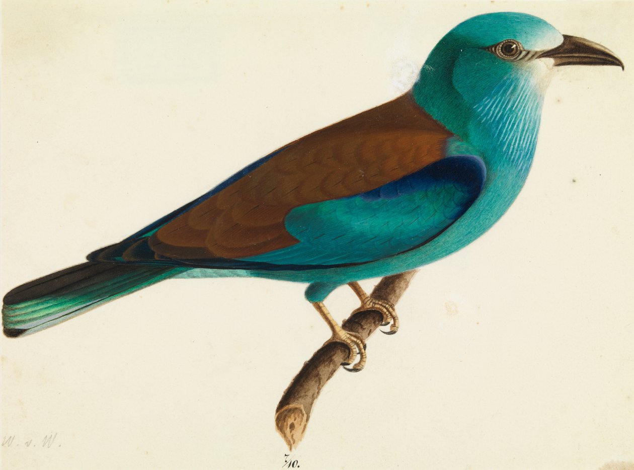 Avrupa Silindiri by Wilhelm von Wright