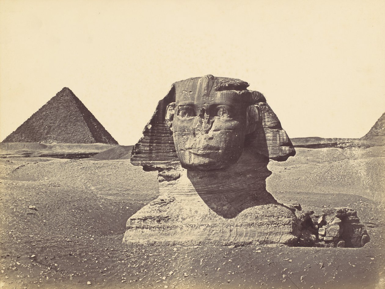 Sphynx