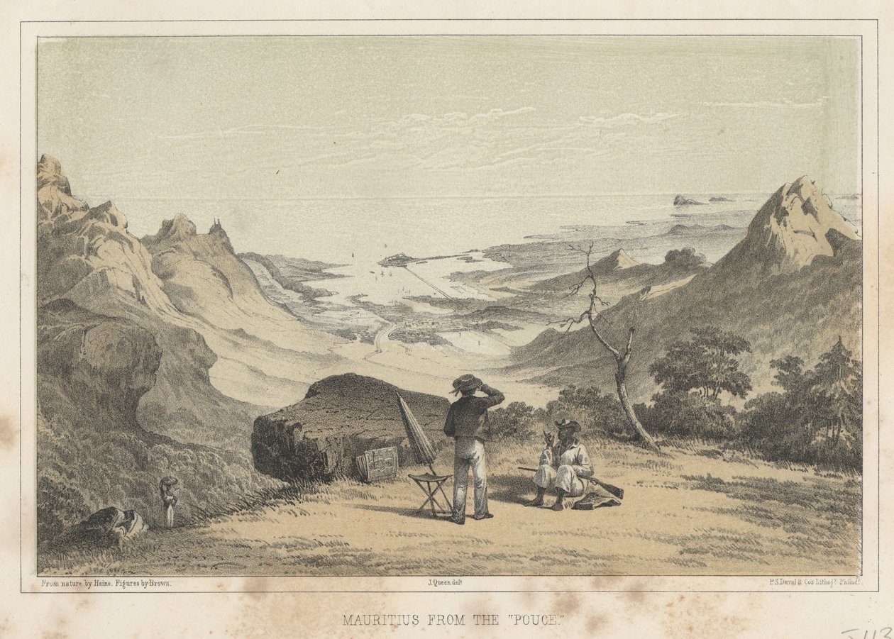 ಪೌಸ್‌ನಿಂದ ಮಾರಿಷಸ್, 1855 ಟರ್ಕಿ by Wilhelm Joseph Heine