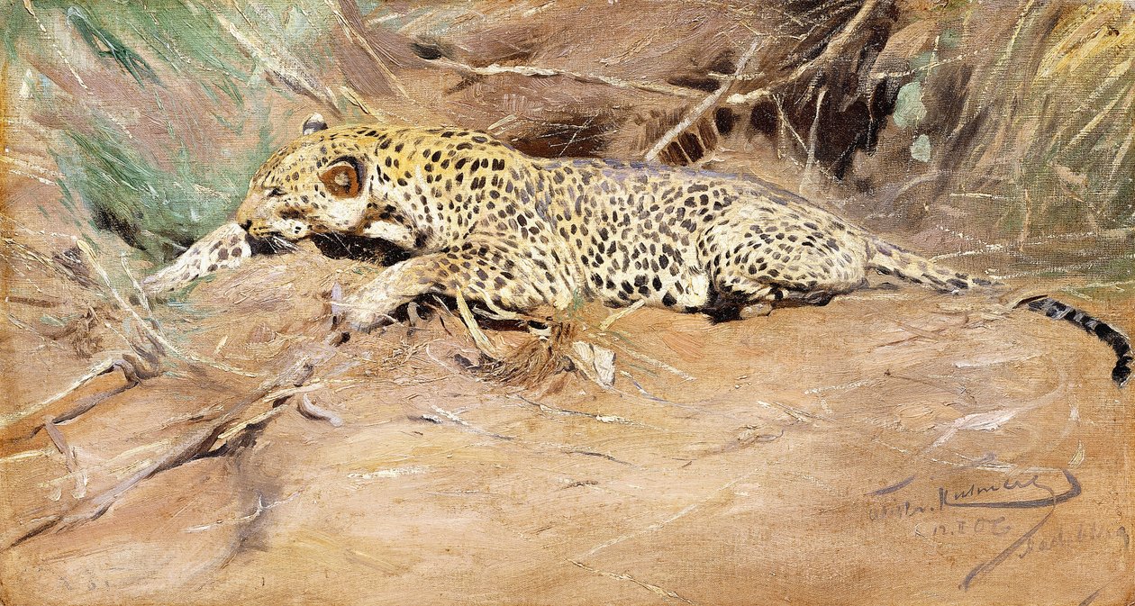 bir leopar, by Wilhelm Kuhnert