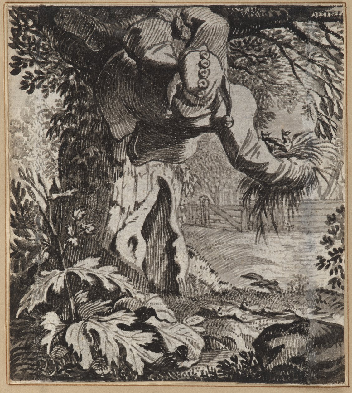 Cüretkar Aptal by Wilhelm Stettler