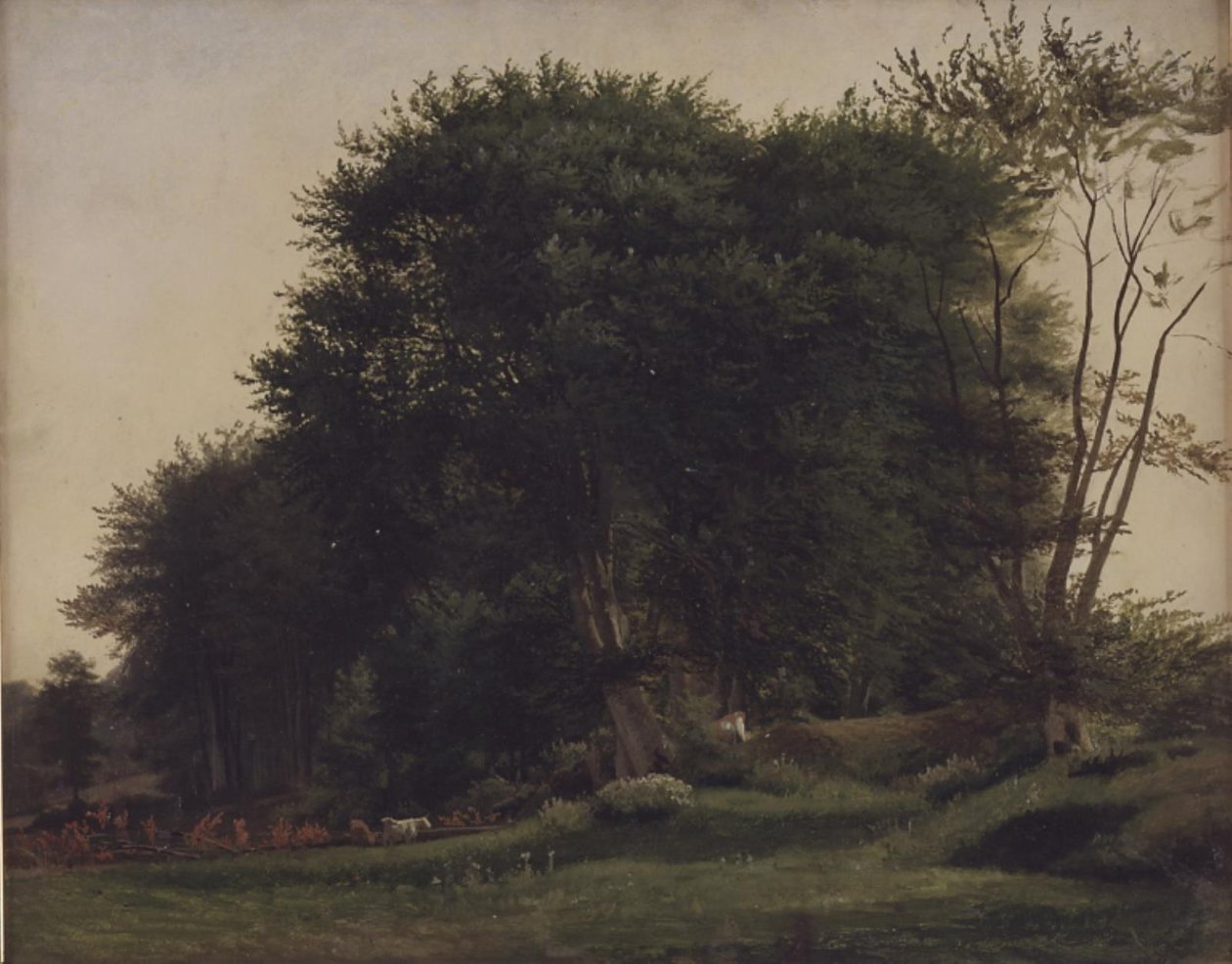 Sığırlarla orman temizliği by Wilhelm Xylander