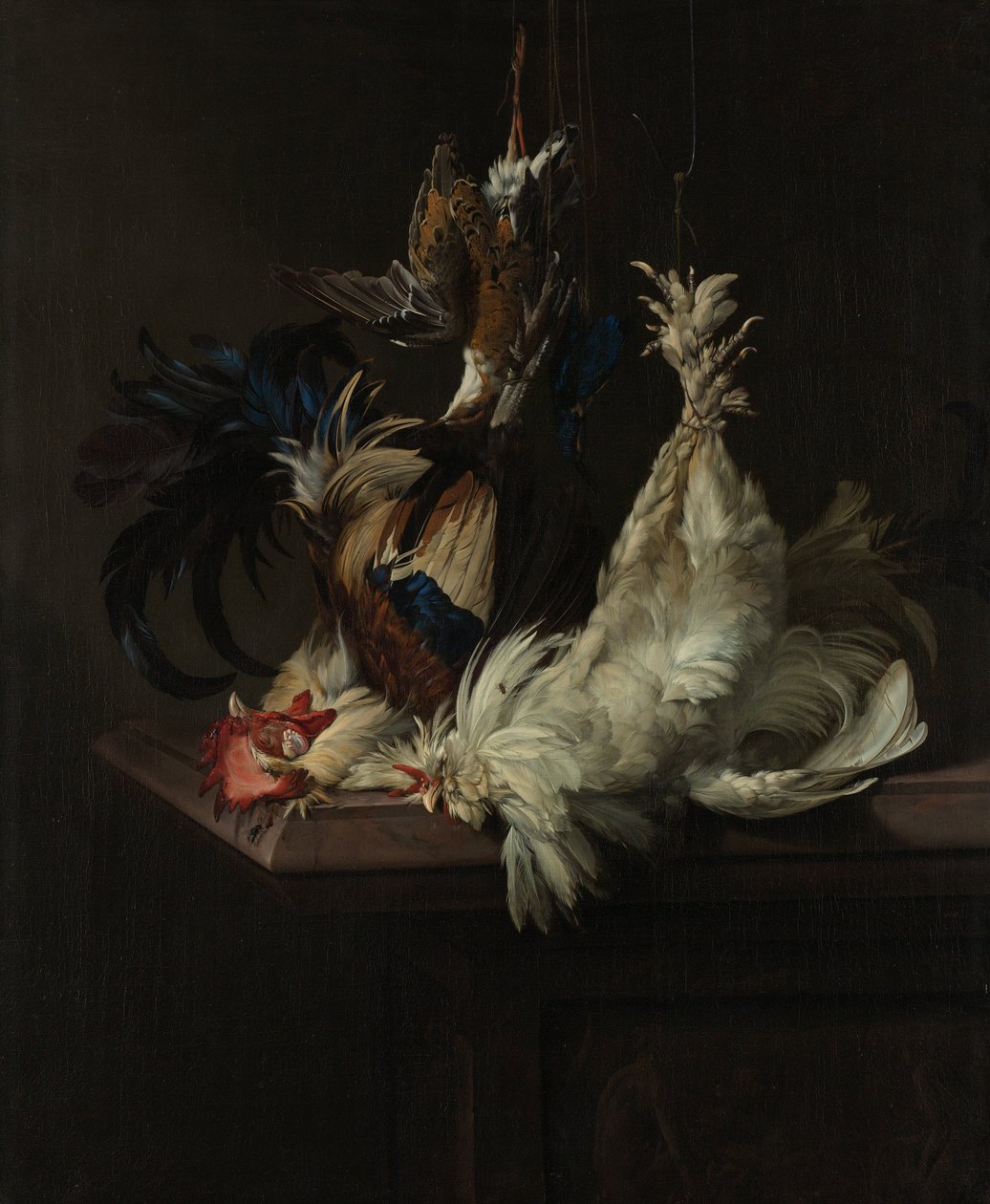Kümes hayvanları ile natürmort by Willem van Aelst