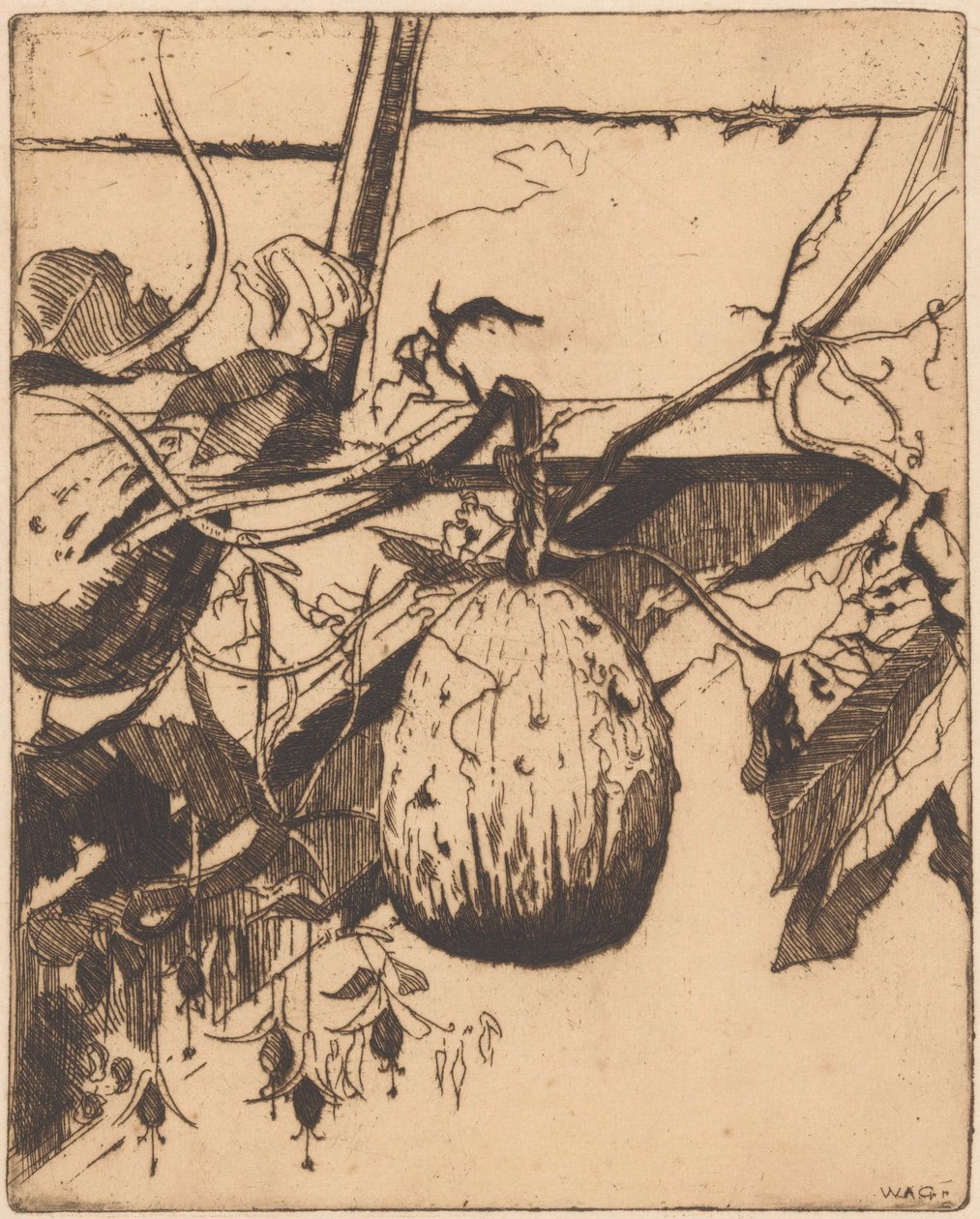 Fuşya değil su kabağı by Willem Adrianus Grondhout