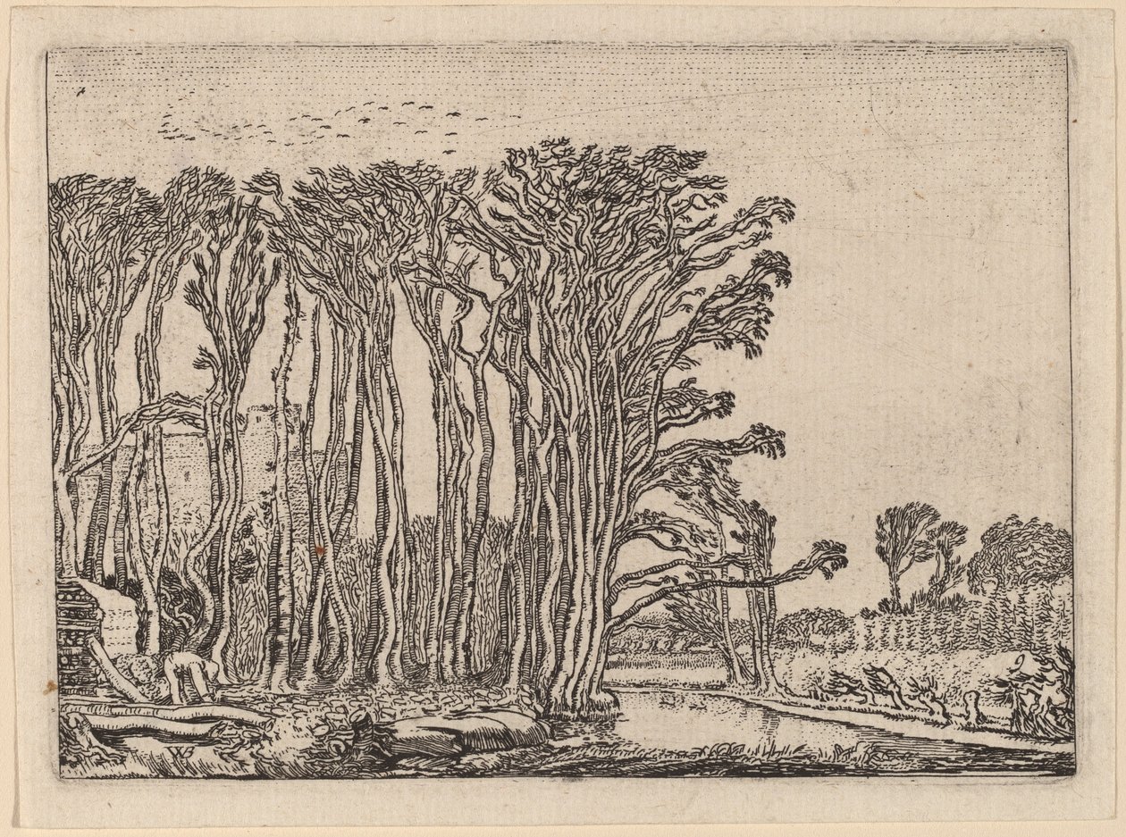 Kömür Brülörü by Willem Buytewech