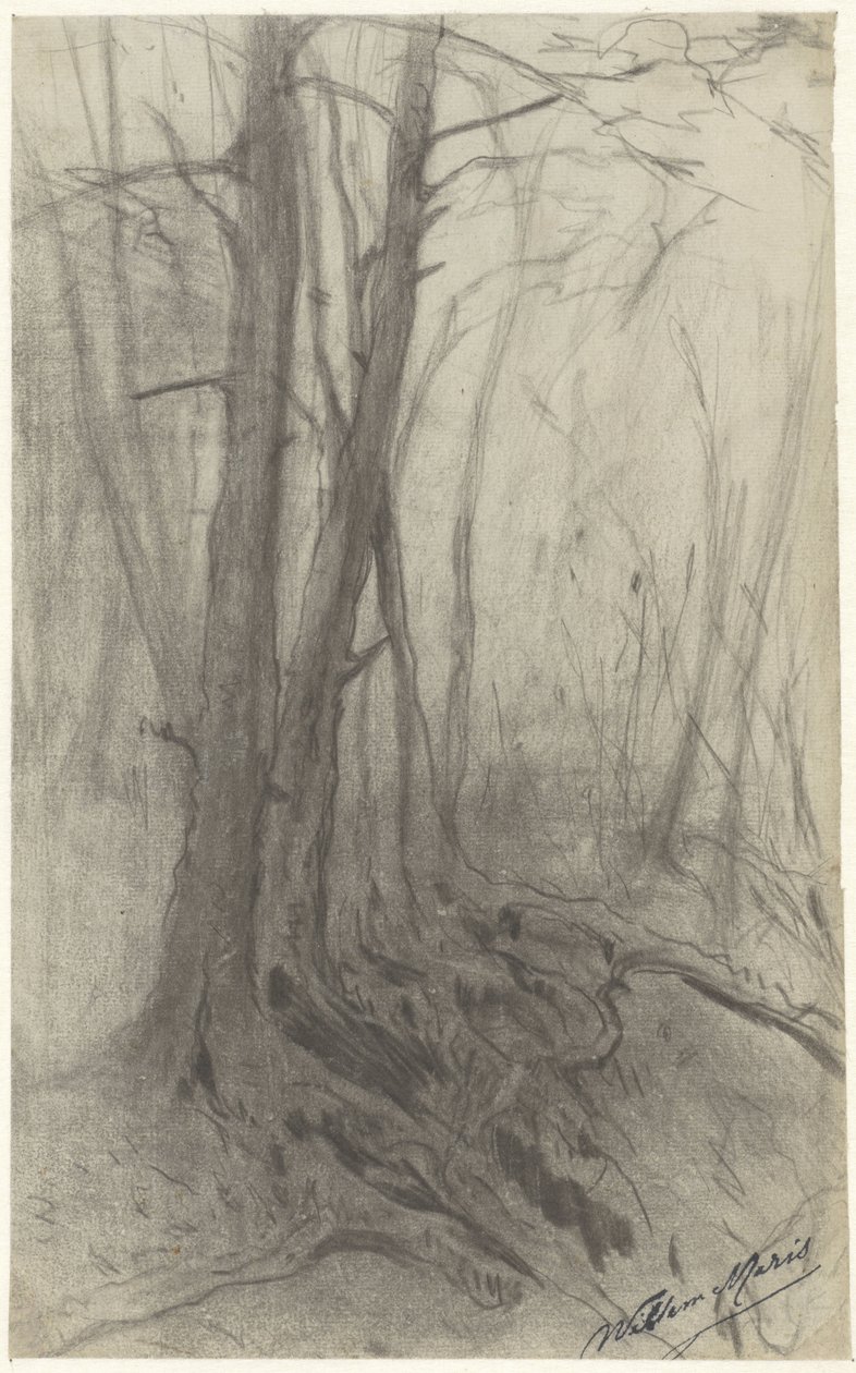 Bir ormandaki ağaçlar by Willem Maris