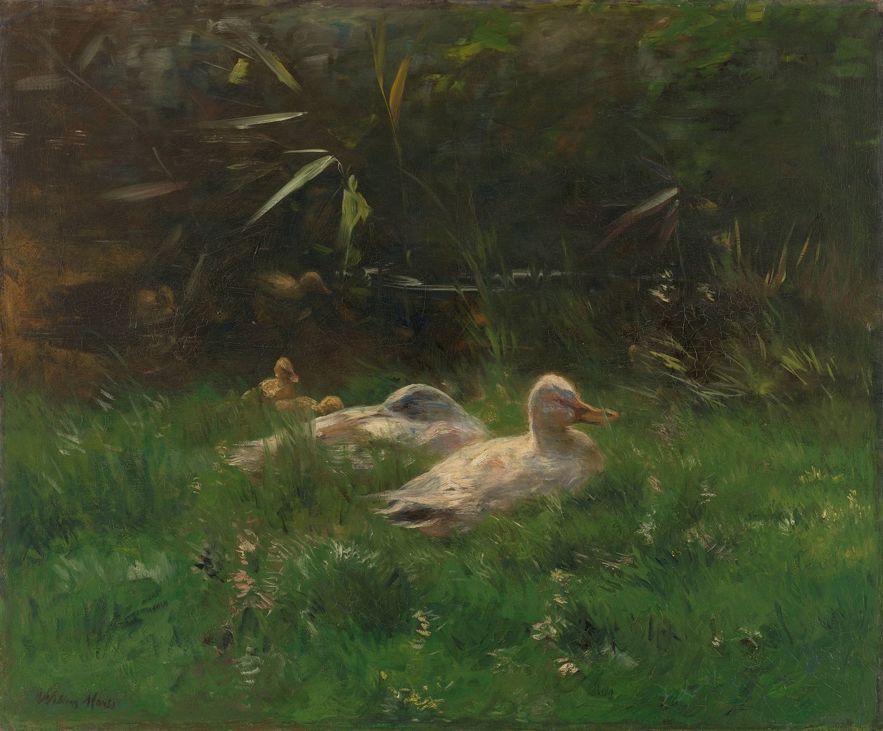 ördekler by Willem Maris
