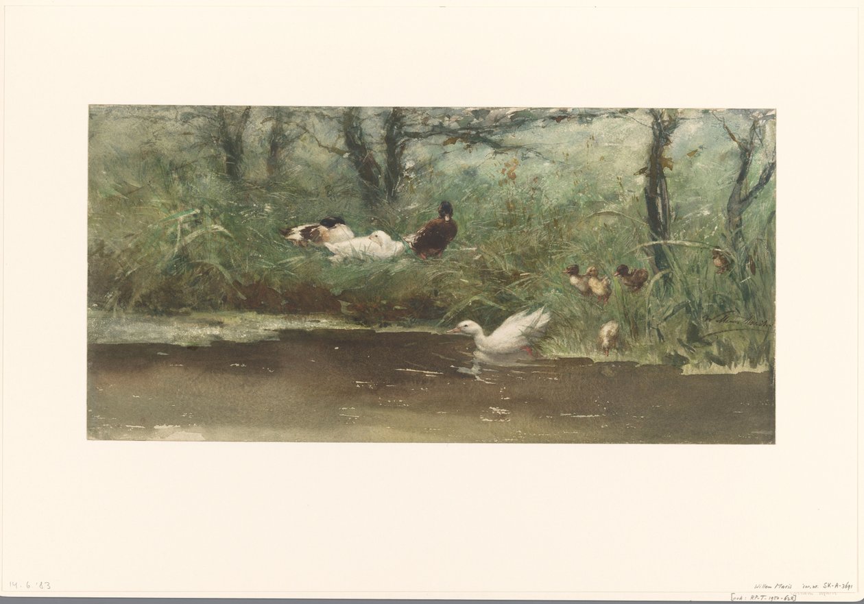 hendek tarafında ördekler by Willem Maris