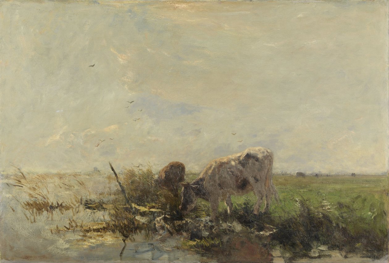 Bir su birikintisi üzerinde inekler by Willem Maris
