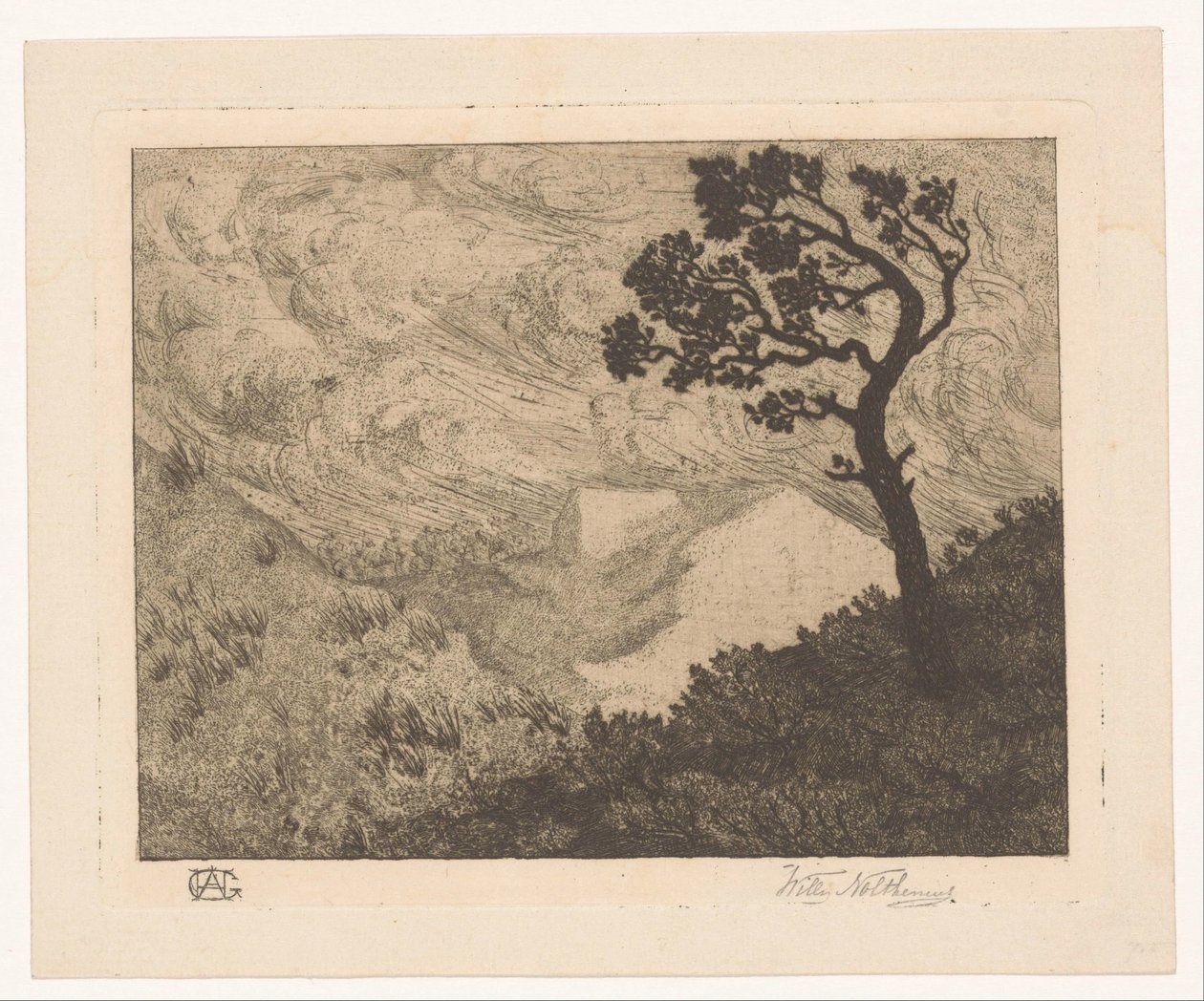 Tepelik bir manzarada ağaç by Willem Nolthenius (signed by artist)