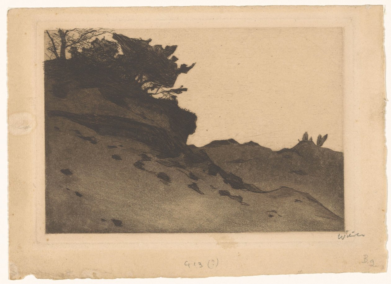 Bir kum kayması üzerinde çalılar by Willem Witsen (signed by artist)