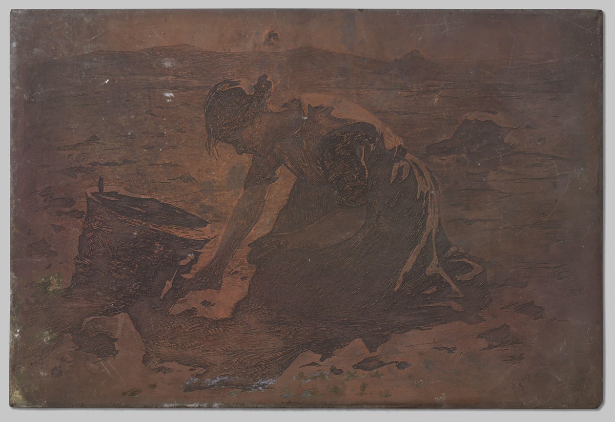patates hasadı by Willem Arnoldus Witsen