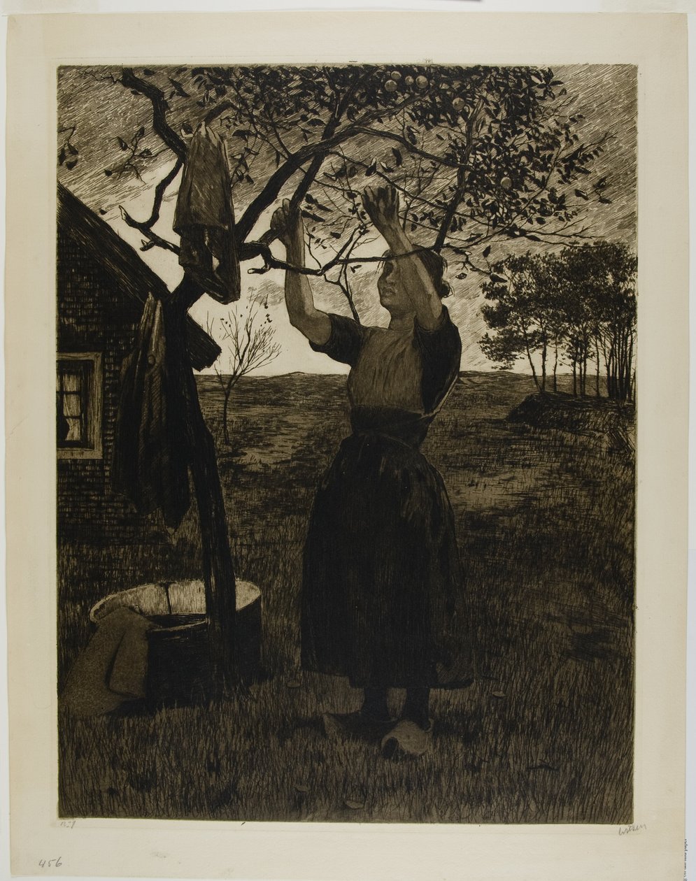 elma ağacı by Willem Arnoldus Witsen